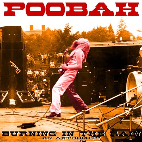 POOBAH - BURNING IN THE RAIN: AN ANTHOLOGY - Vinyl Record image 1