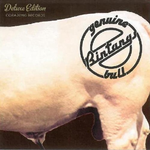 BINTANGS - GENUINE BULL DELUXE EDITION - CD image 1
