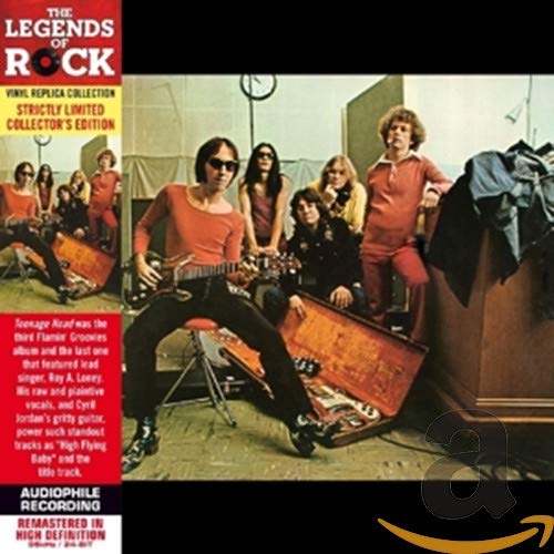 FLAMIN' GROOVIES - TEENAGE HEAD - CD image 2