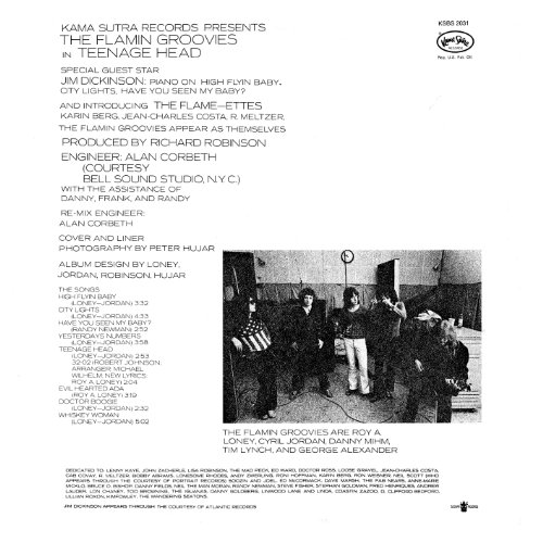 FLAMIN' GROOVIES - TEENAGE HEAD - CD image 4