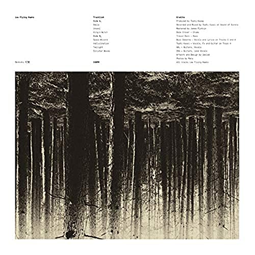 Low Flying Hawks - Genkaku - Vinyl Record image 2
