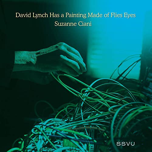 SSVU - David Lynch Has a Painting Mad - Vinyl Record 7 Inch image 1