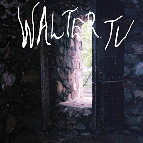 WALTER TV - BLESSED - Vinyl Record VL image 1