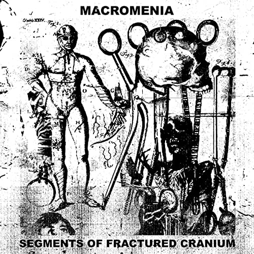 MACROMENIA - - SEGMENTS OF FRACTURED CRANIUM - CD - CD image 2