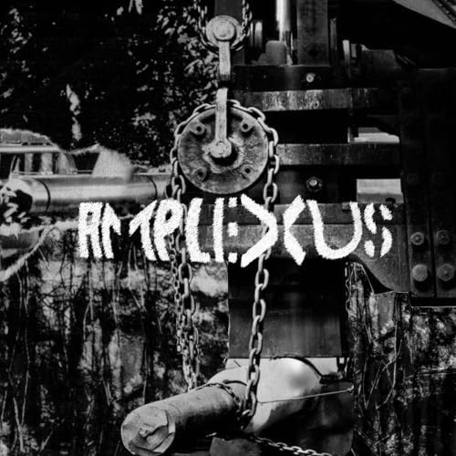 AMPLEXUS - MELTING AWAY - FIERCE DETRUNCTATION - CD image 2