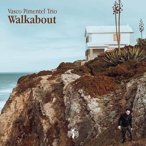 Walkabout - CD image 1