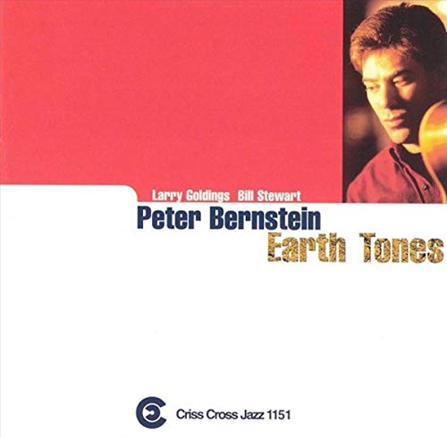 BERNSTEIN PETER - EARTH TONES - CD image 1