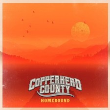 Homebound - Vinyl Record image 1