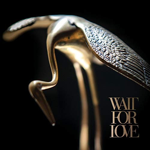 PIANOS BECOME THE TE - WAIT FOR LOVE - Vinyl Record image 1
