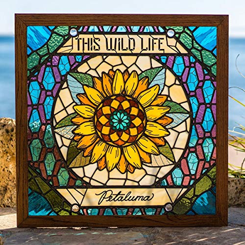This Wild Life - Petaluma - Vinyl Record image 1