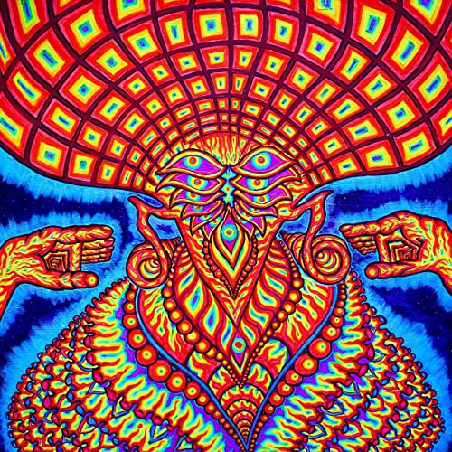 DREAM SYNDICATE - UNIVERSE INSIDE - CD image 1