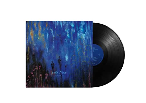 Variables - Vinyl Record image 1