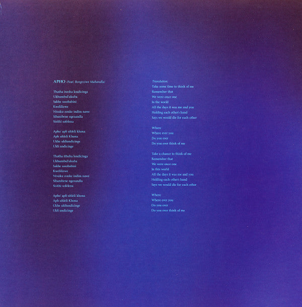 ALFA MIST - VARIABLES - Vinyl Record lp image 3