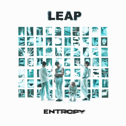 LEAP - Entropy - Vinyl Record lp image 1
