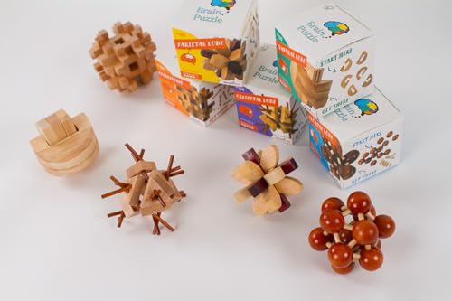 Brain Puzzle #02 Game - Non-book item image 6