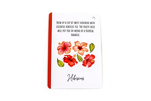 How to become a Vegan - Non-book item image 4