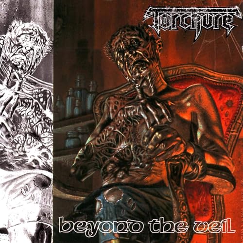 TORCHURE - BEYOND THE VEIL - Vinyl Record image 2