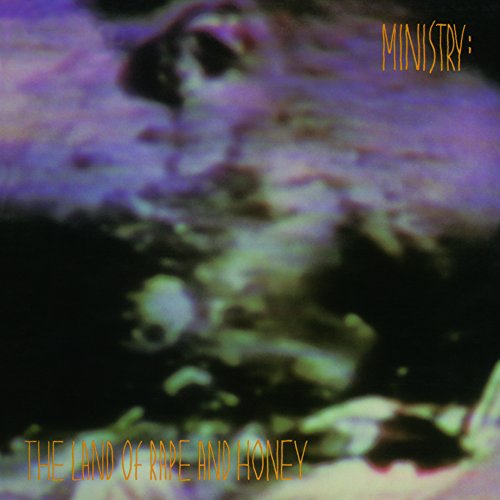 Ministry - Land Of Rape And Honey - Vinyl Record image 2