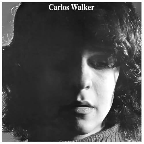 Carlos Walker - A Frauta De Pa - Vinyl Record lp image 1