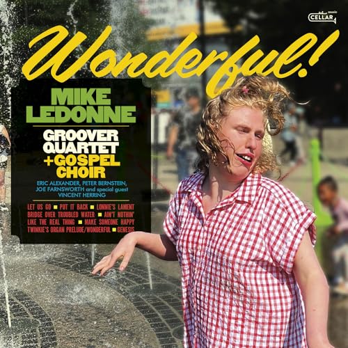 MIKE & GROOVE... LED - WONDERFUL - CD image 2