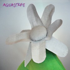 Aquaserge - La Fin D - Aquaserge - La fin de l‘économie CD RELEAS image 1