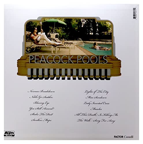 PINK MOUNTAINTOPS - PEACOCK POOLS - Vinyl Record 12" RECORD image 2
