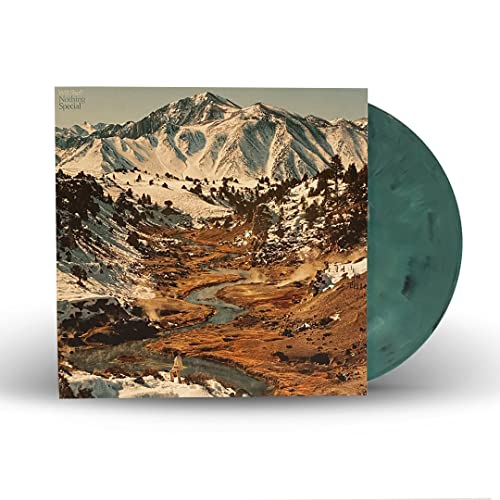 Will Sheff - Nothing Special - Eco-wax (Preorder for release 07/10/22 image 2