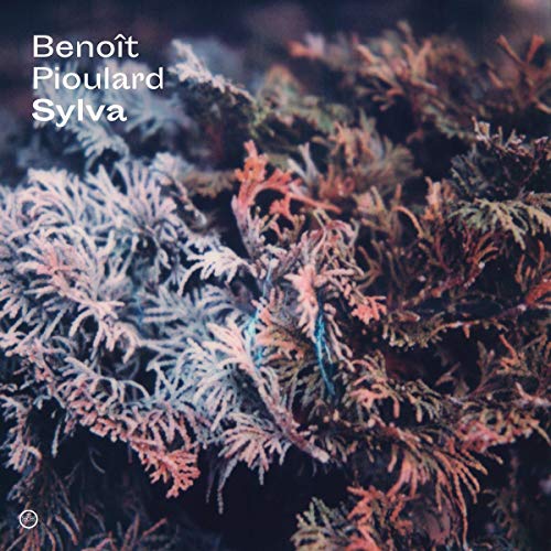 PIOULARD  BENOIT - SYLVA - CD image 1