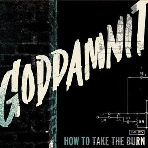 GODDAMNIT - HOW TO TAKE THE BURN - Vinyl Record image 2