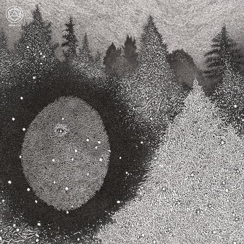 ALORA CRUCIBLE - OAK LACE APPARITION (GREEN APPEAL RE-VINYL 2LP) - Viny