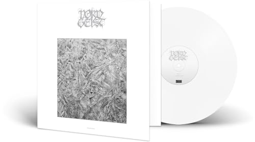 FROSTWINTER (WHITE VINYL) - Vinyl Record image 1