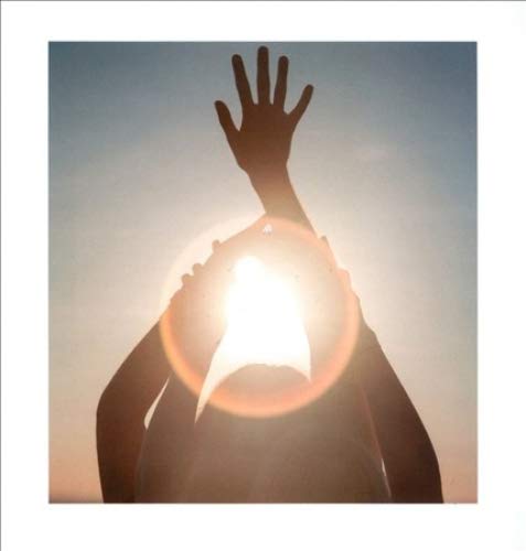 ALCEST - SHELTER  (2CD) - CD image 2