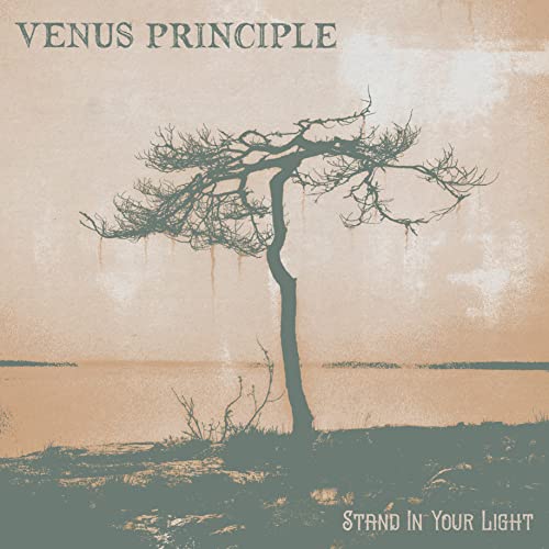 VENUS PRINCIPLE - STAND IN YOUR LIGHT - CD image 2