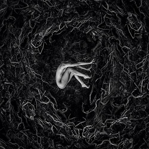 FVNERALS - LET THE EARTH BE SILENT - CDD image 2
