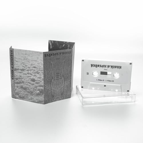 PAYSAGE D'HIVER - SCHNEE - Cassette