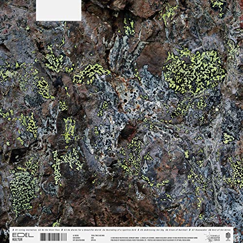 SEBASTIAN MULLAERT - NATTHALL - Vinyl Record image 2
