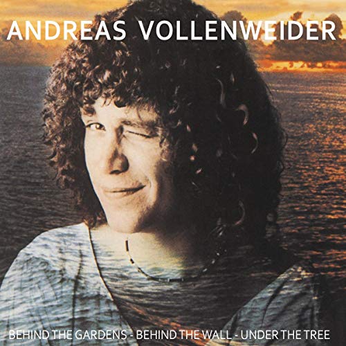 ANDREAS VOLLENWEIDER - BEHIND THE GARDENS - BEHIND TH - CD image 1