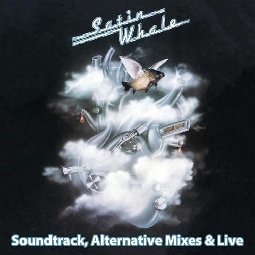 SATIN WHALE - HISTORY BOX 2 - SOUNDTRACK - CDBX image 1