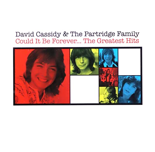 David Cassidy - Could It Be Forever... The Greatest Hits - CD image 1