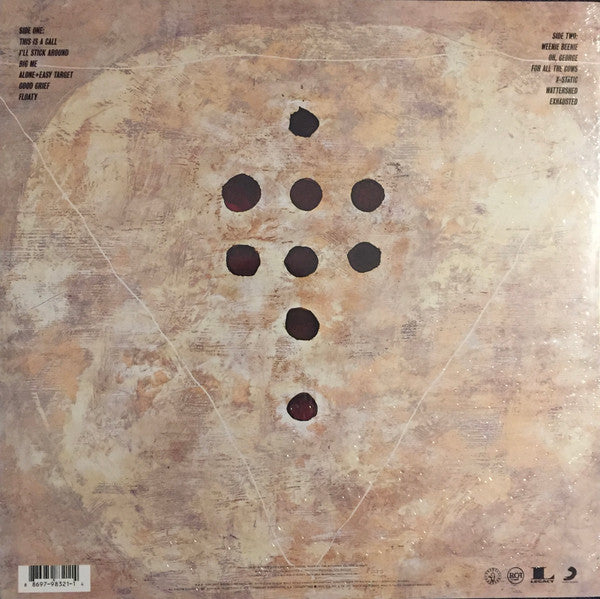 Foo Fighters - Vinyl Record image 2