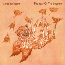 JAMES YORKSTON - YEAR OF THE LEOPARD - Vinyl Record 12" RECORD image 1