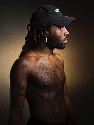 Blood Orange - Freetown Sound - Vinyl Record image 3