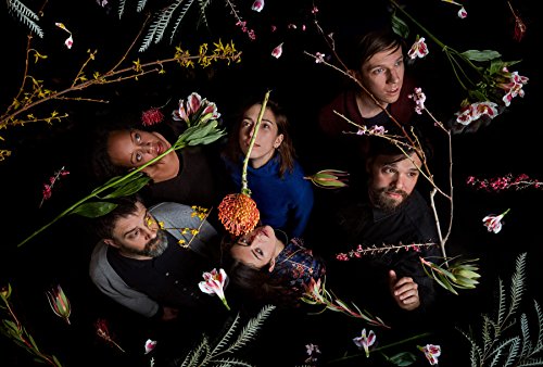DIRTY PROJECTORS - LAMP LIT PROSE - Vinyl Record 12" RECORD image 2