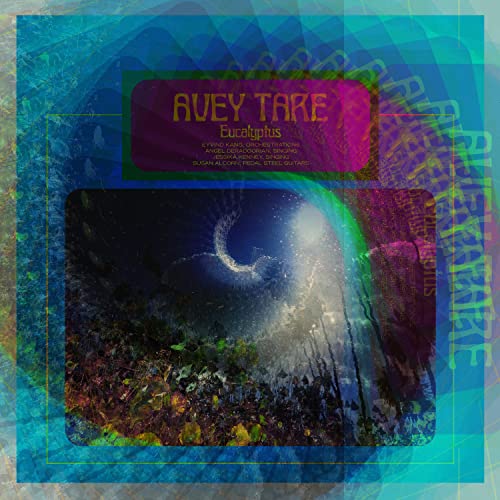 Avey Tare - Eucalyptus - CD image 1