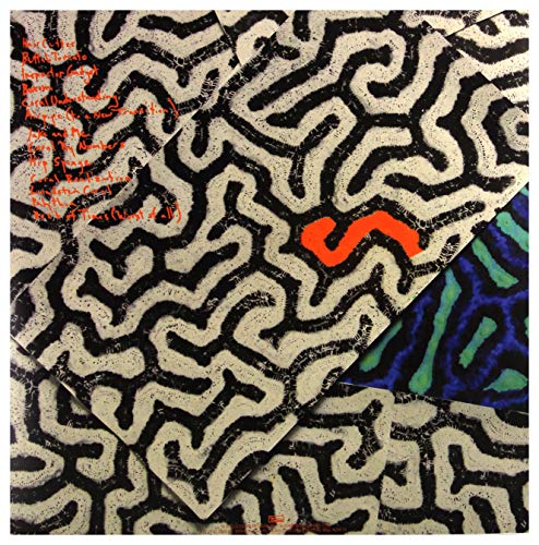 ANIMAL COLLECTIVE - TANGERINE REEF - Vinyl Record 12" RECORD image 2