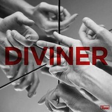 HAYDEN THORPE - DIVINER - Vinyl Record 12" RECORD image 1