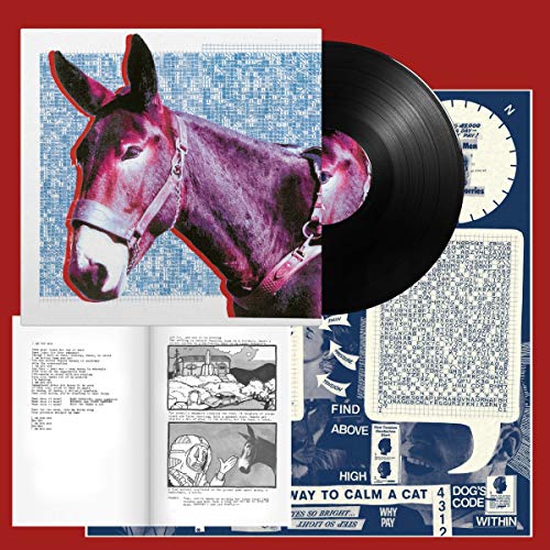 PROTOMARTYR - ULTIMATE SUCCESS TODAY - Vinyl Record 12" RECORD image 1