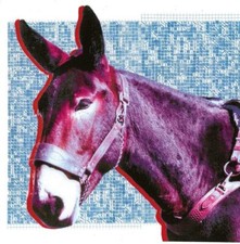 PROTOMARTYR - ULTIMATE SUCCESS TODAY - CD ALBUM image 1