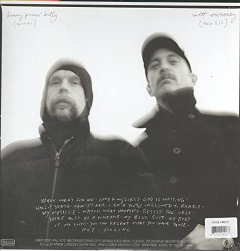 MATT SWEENEY & BONNI - SUPERWOLVES - Vinyl Record 12" RECORD image 2