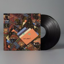 ANIMAL COLLECTIVE - ISN'T IT NOW? - Vinyl Record 12" RECORD image 1